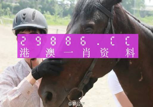 澳门今晚一肖一码，深度解答解释落实_e2454.87.32